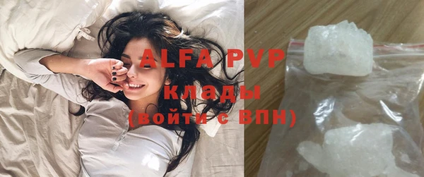 прущие грибы Гусев