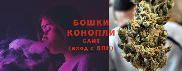 прущие грибы Гусев