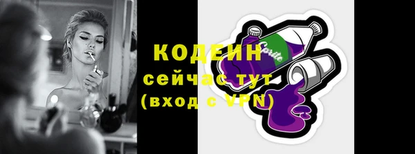 прущие грибы Гусев
