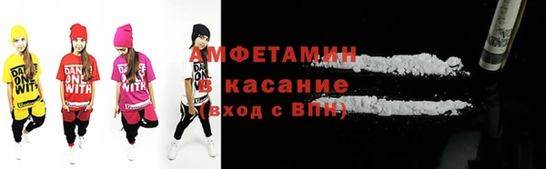 прущие грибы Гусев
