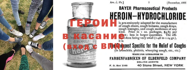 прущие грибы Гусев