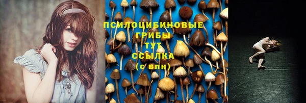 прущие грибы Гусев