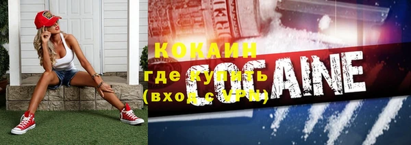 прущие грибы Гусев
